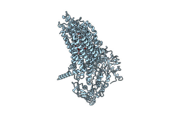 8RQ4 image
