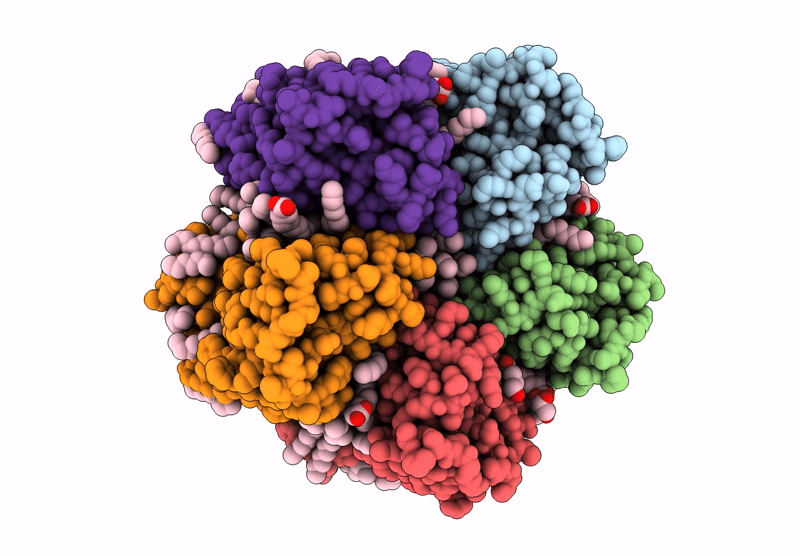 8RQ5 image