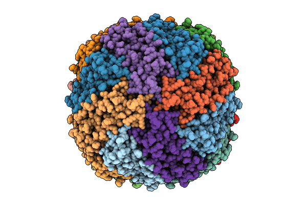 8RQB image