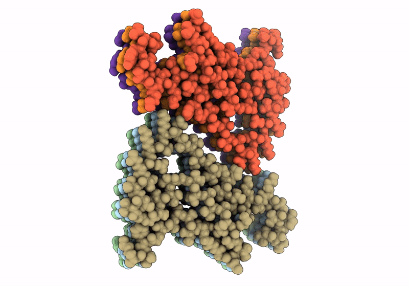 8RQM image