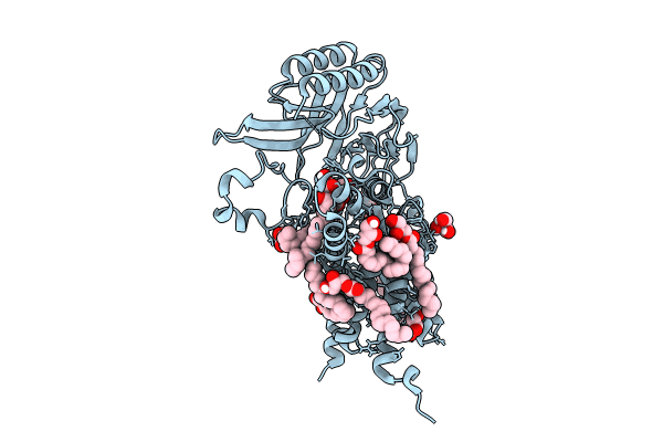 8RQR image