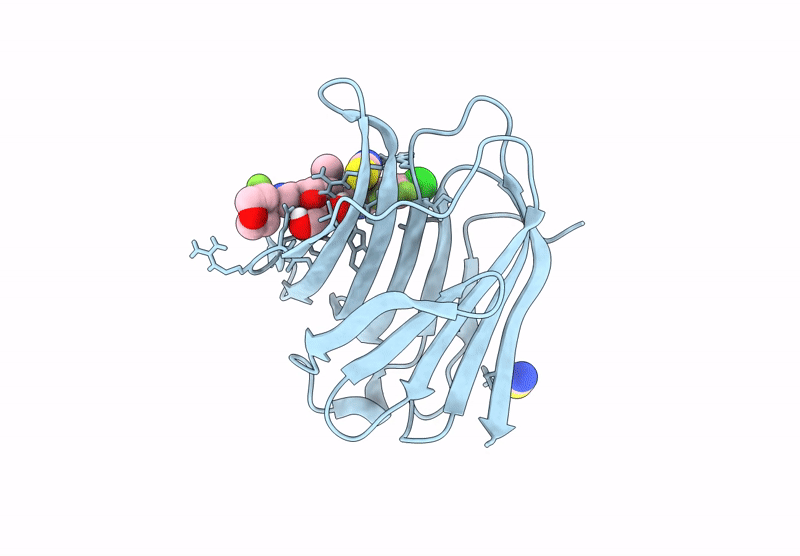 8RRA image
