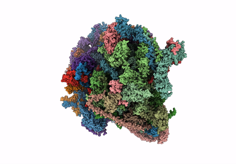8RRI image