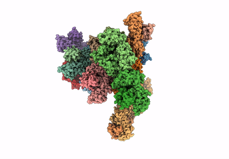8RRO image