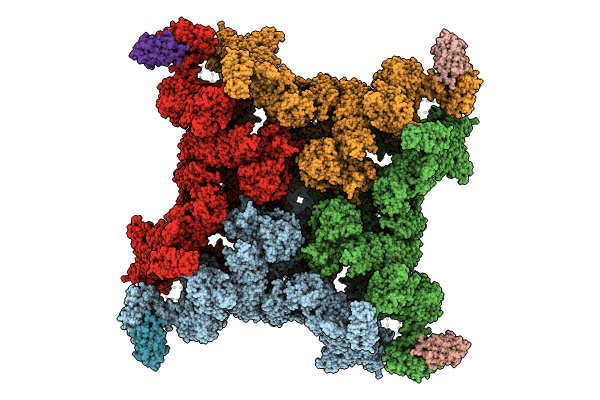 8RRS image