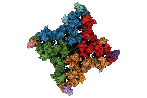 8RRV image