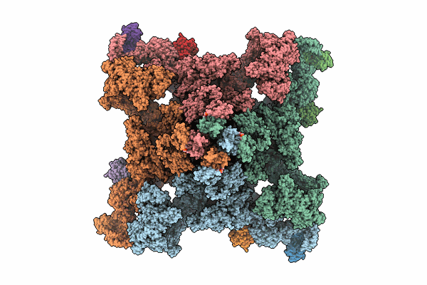 8RRX image
