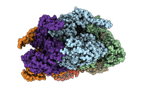 8RSB image
