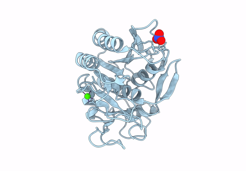 8RSE image