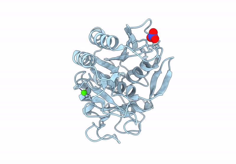 8RSG image