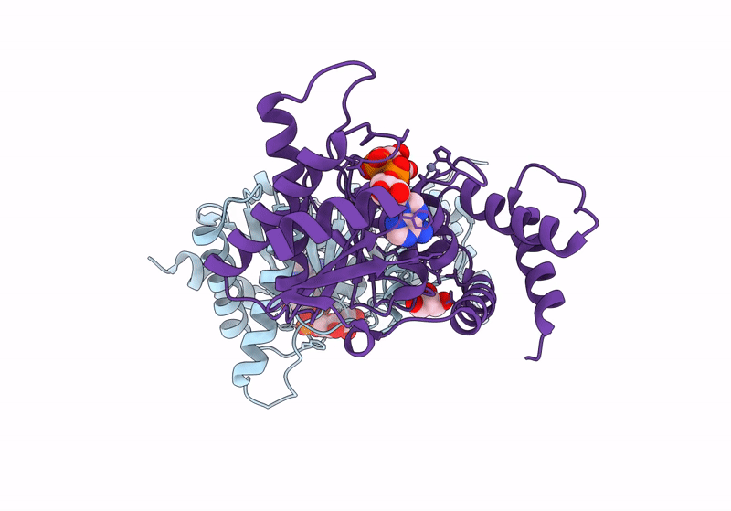 8RSJ image