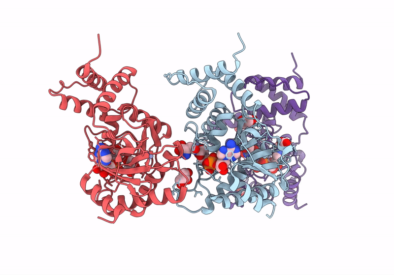 8RSK image