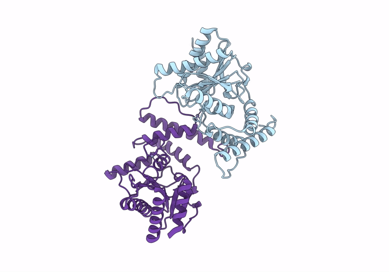 8RSL image