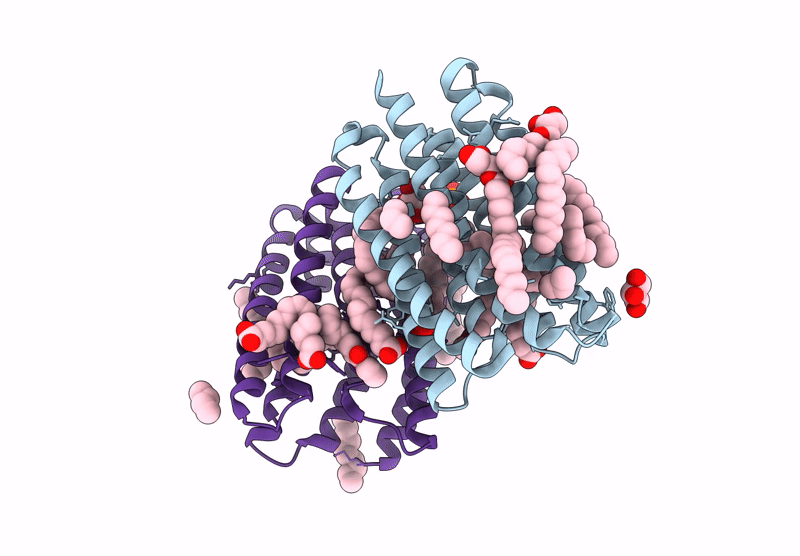 8RSO image