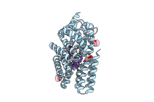8RST image