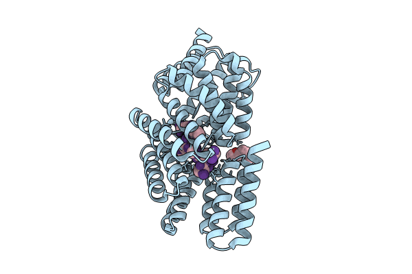 8RSU image