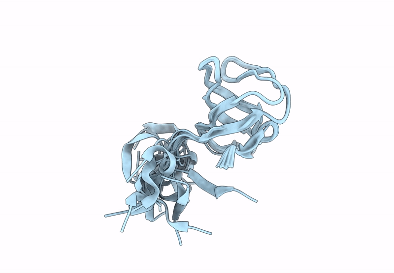 8RSW image