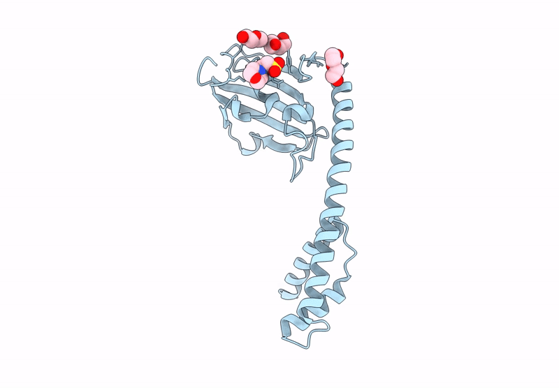 8RUO image