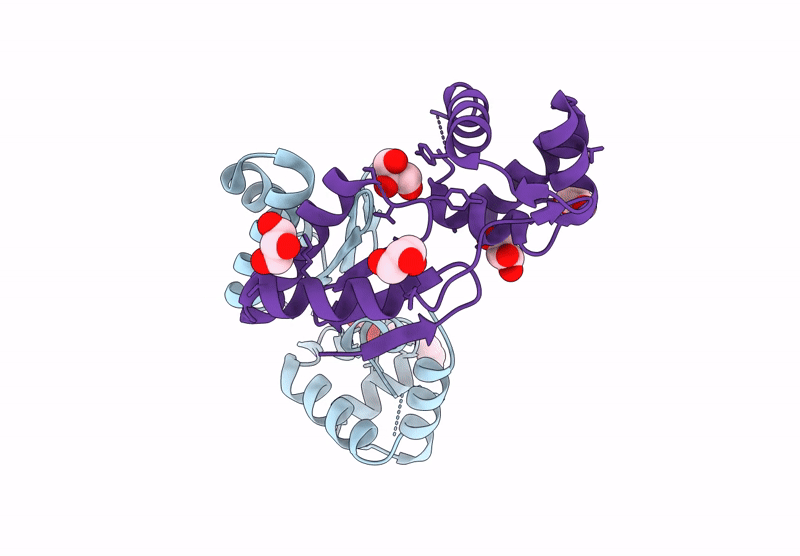 8RV3 image