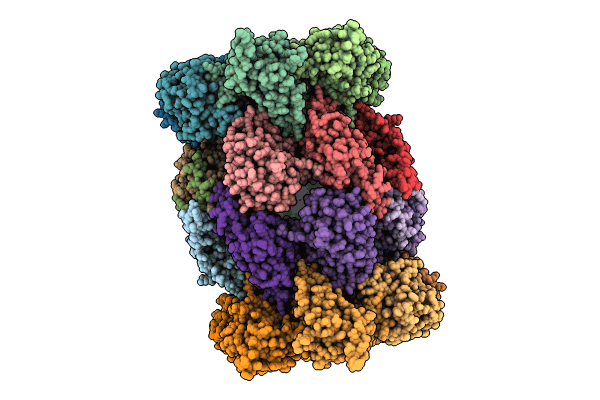 8RVQ image