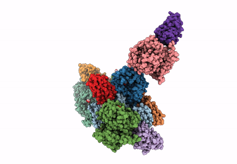 8RVR image