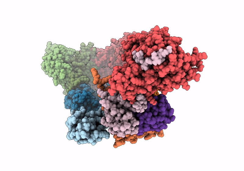 8RX0 image