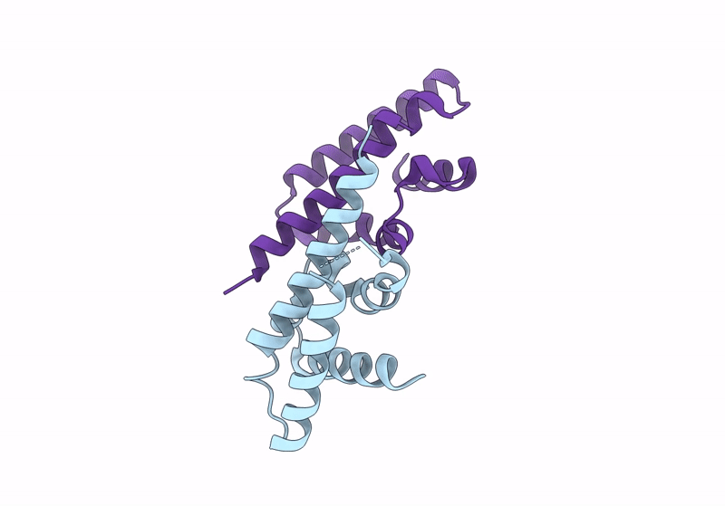 8RXA image