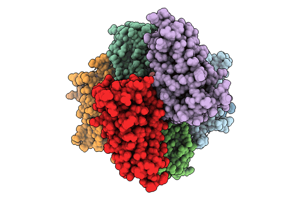8RXB image