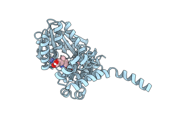 8RXG image