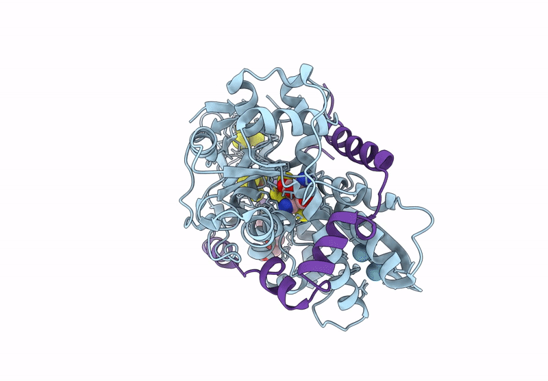 8RXI image