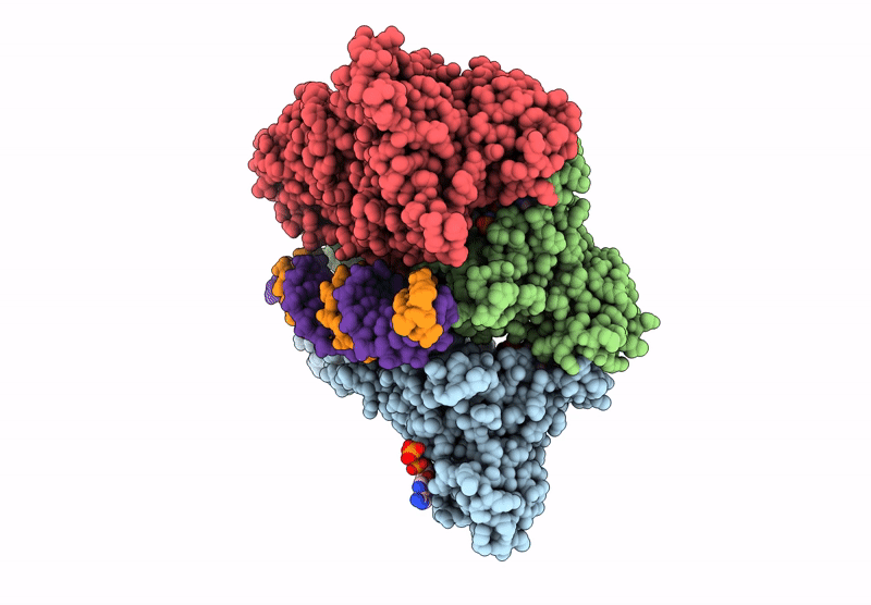 8RXK image