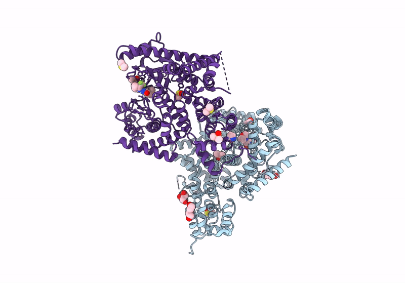 8RXR image