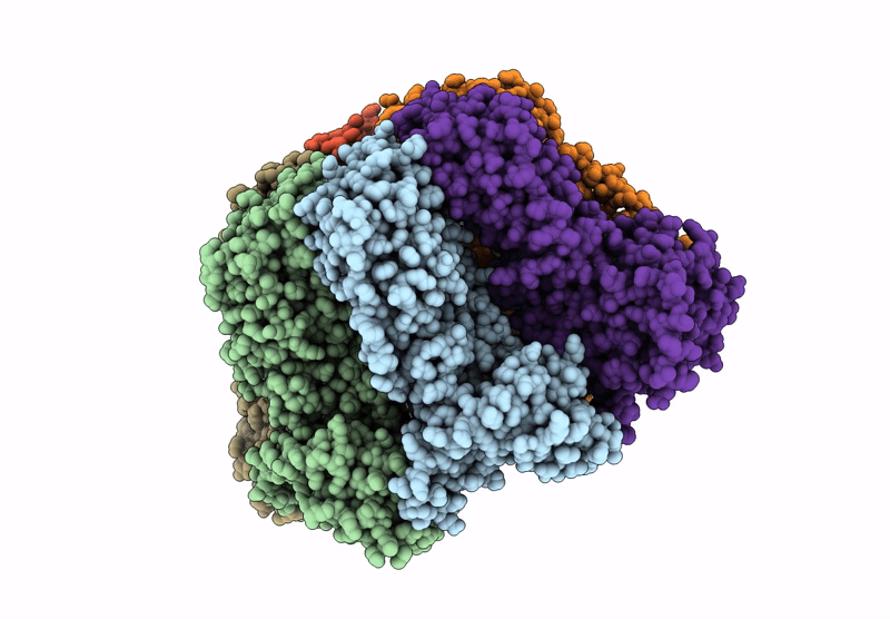 8RXT image