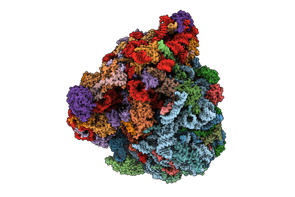 8RXX image