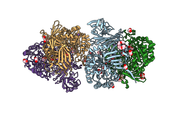 8RZH image