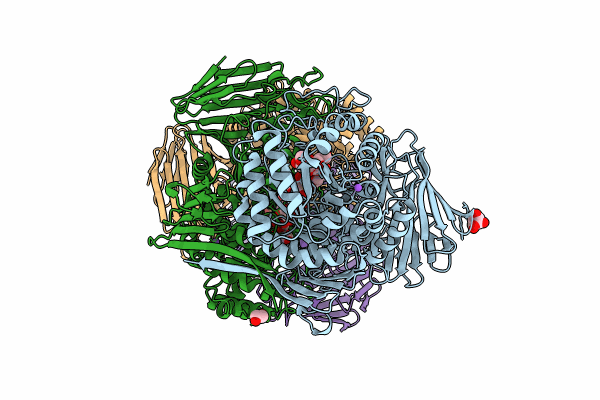 8RZK image