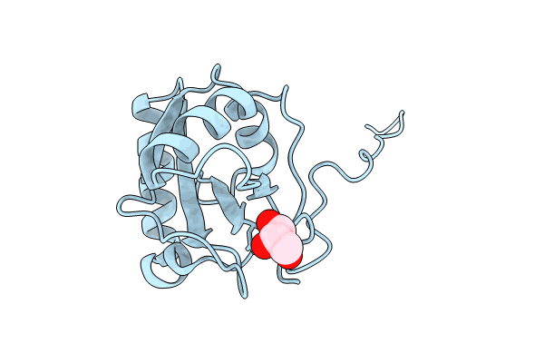 8S1M image