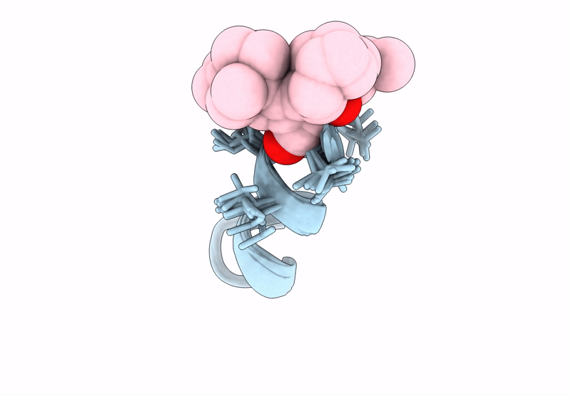 8S2B image