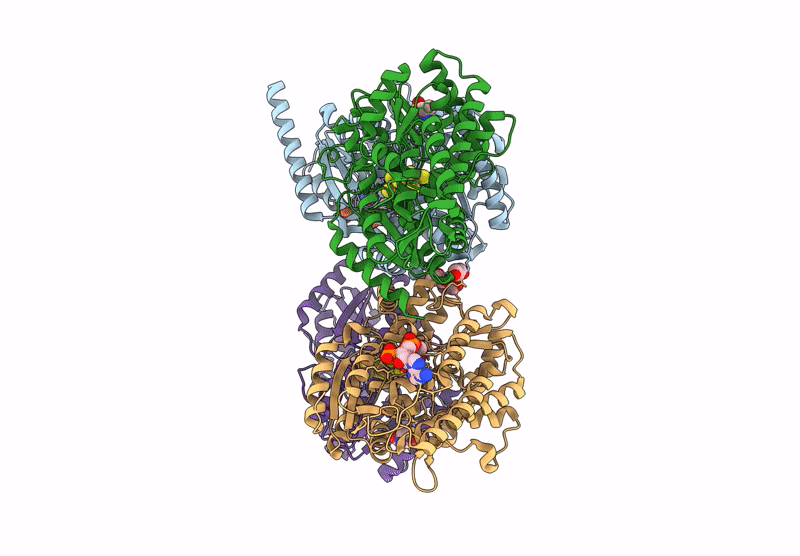 8S2R image
