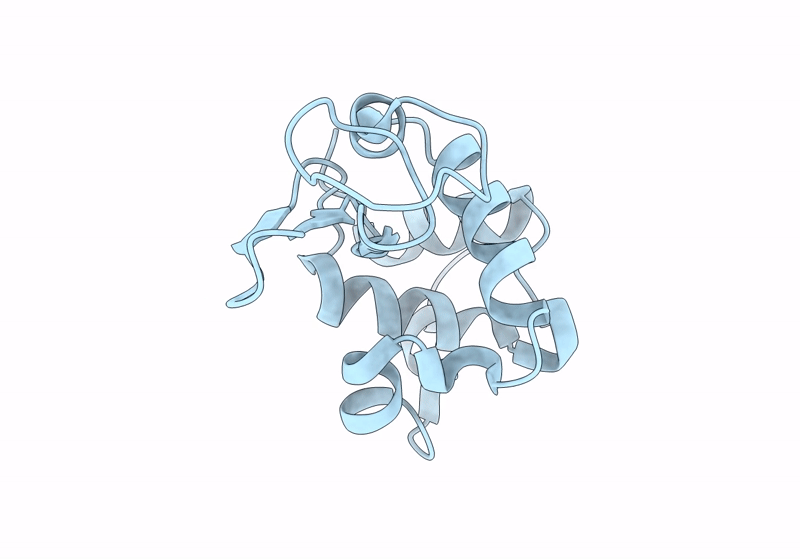 8S2U image