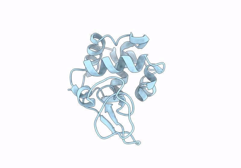 8S2V image