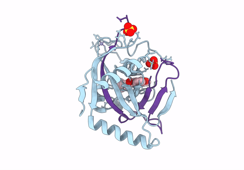8S4V image
