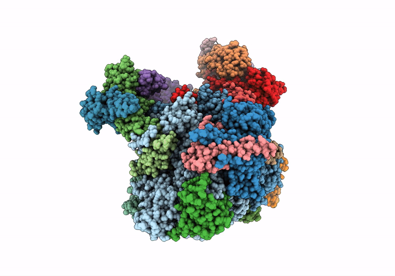 8S52 image
