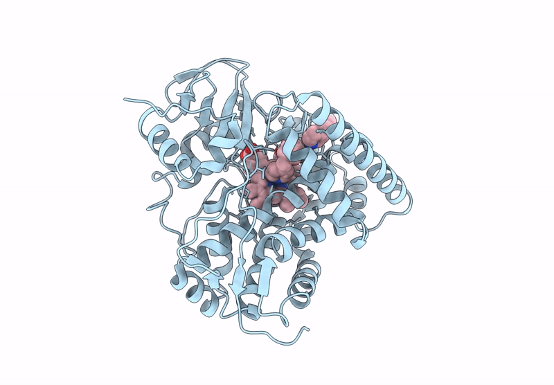 8S53 image