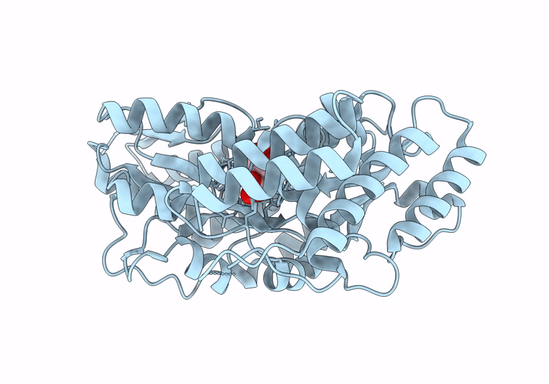 8S5B image