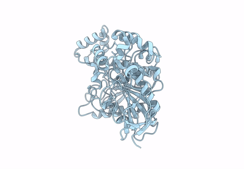 8S6D image