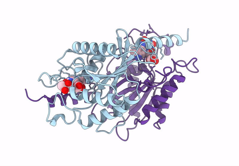 8S6R image