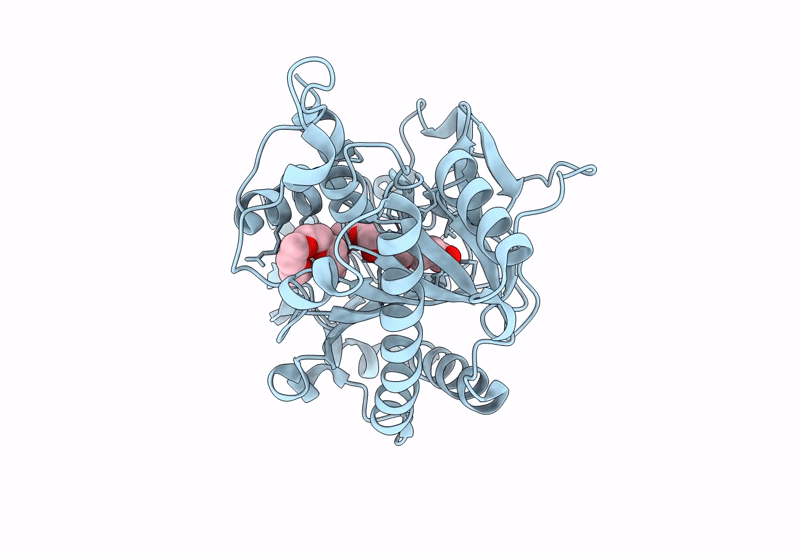8S7B image
