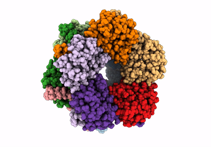 8S7H image