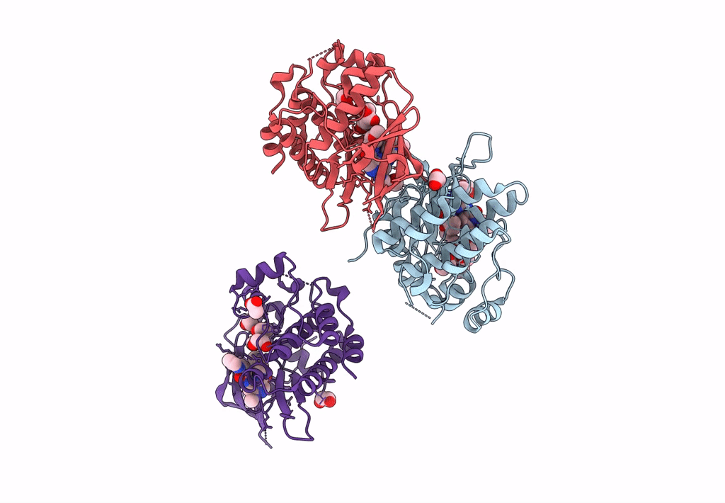 8S9A image